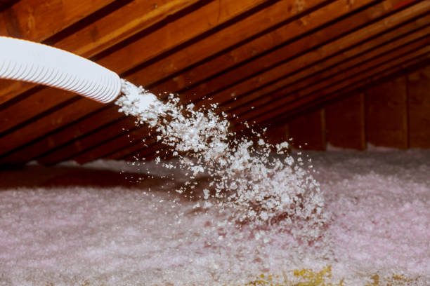 Best Insulation Materials and Products in Circle Pines, MN