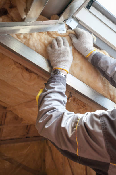 Best Insulation Installation Services in Circle Pines, MN