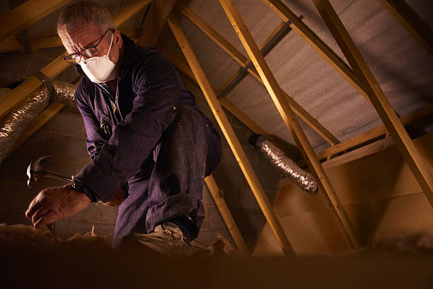 Best Insulation Installation Services in Circle Pines, MN